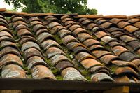 Вижте каталога ни с ремонт на покриви софия 18