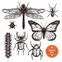 Научете за пръскане срещу хлебарки 31