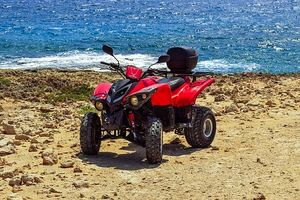 Quad Lanzarote - 7351 types