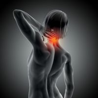 болка в гърба - 34573 селекции
